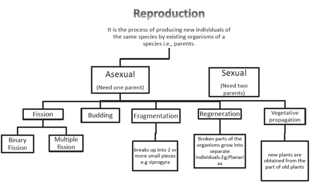 how-do-the-organisms-reproduce-notes-for-class-10-science