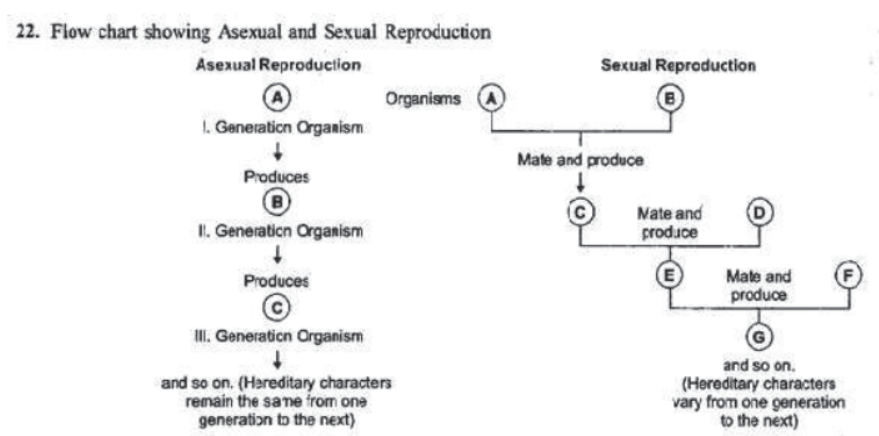 How do the Organisms Reproduce Notes for Class 10 Science