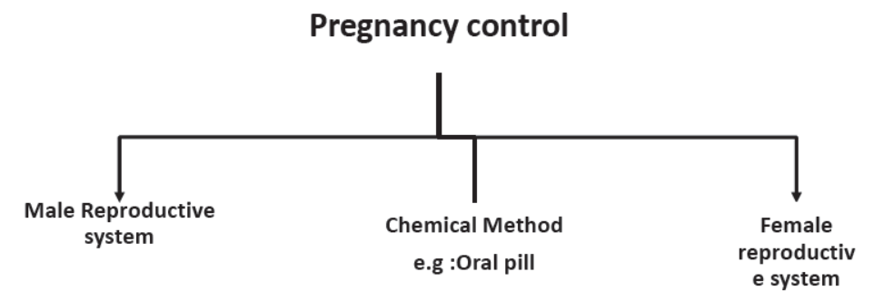 How do the Organisms Reproduce Notes for Class 10 Science