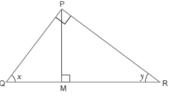 Trigonometry MCQ Class 10 Mathematics