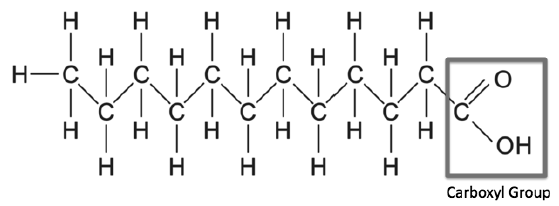 Biomolecules Notes Class 11 Biology 