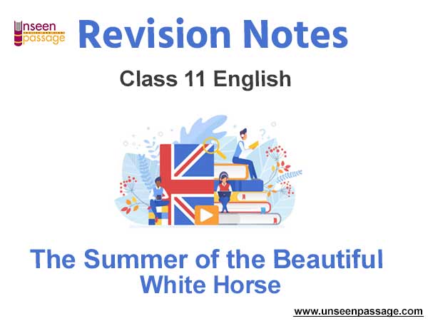The Summer of the Beautiful White Horse Class 11 English Notes