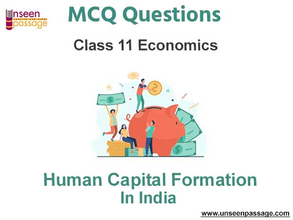 Human Capital Formation In India MCQ Class 11 Economics