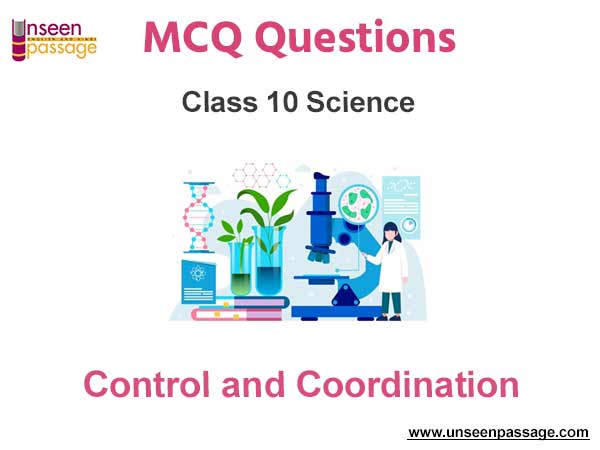 Control and Coordination MCQ Class 10 Science