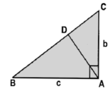 Triangles MCQ Class 10 Mathematics