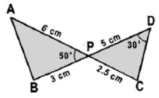 Triangles MCQ Class 10 Mathematics