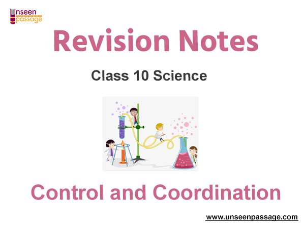 Control and Coordination Notes for Class 10 Science