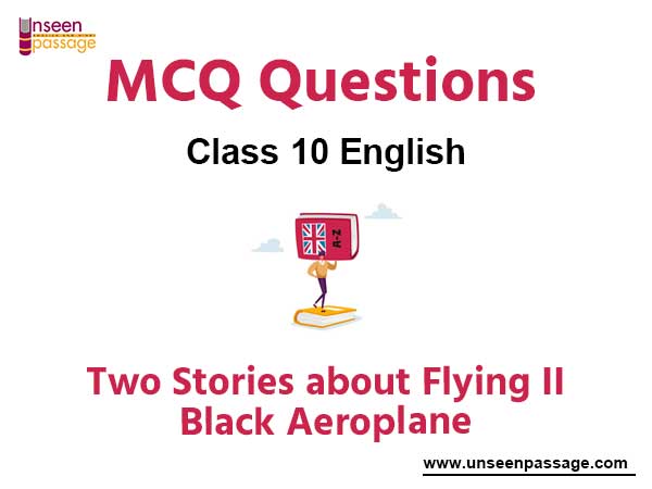 Two Stories about Flying II Black Aeroplane MCQ Class 10 English