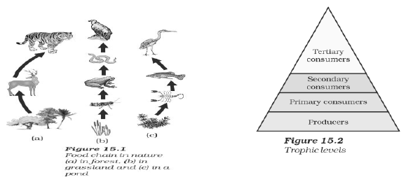 Our Environment Notes for Class 10 Science