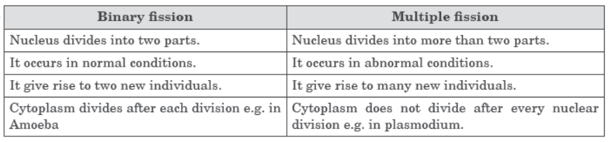 How do the Organisms Reproduce Notes for Class 10 Science