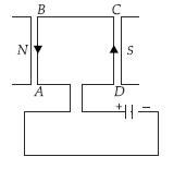 Class 10 Science Sample Paper Term 2 Set C