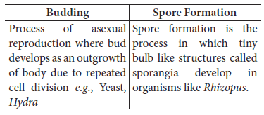 Class 10 Science Sample Paper Term 2 Set C