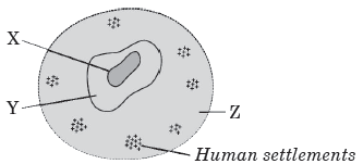 Biodiversity and Conservation Class 12 Biology Important Questions