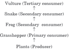 Class 10 Science Sample Paper Term 2 Set D