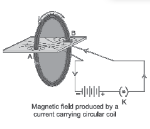 Class 10 Science Sample Paper Term 2 Set D