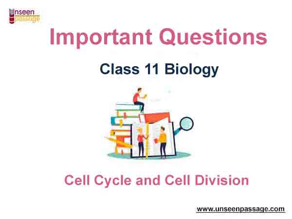 Cell Cycle and Cell Division Class 11 Biology Important Questions