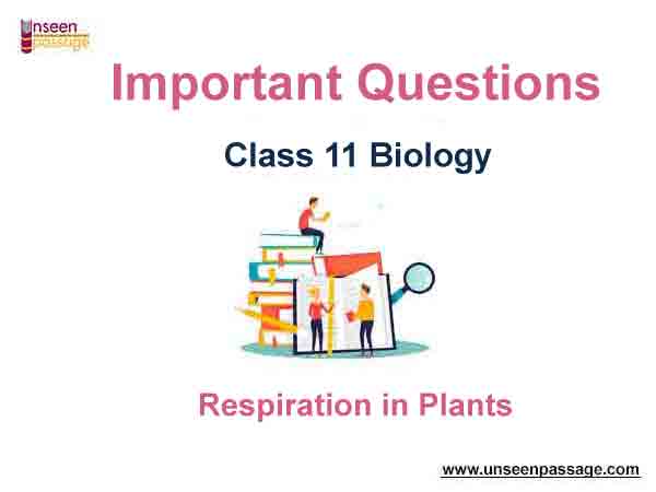 Respiration in Plants Class 11 Biology Important Questions