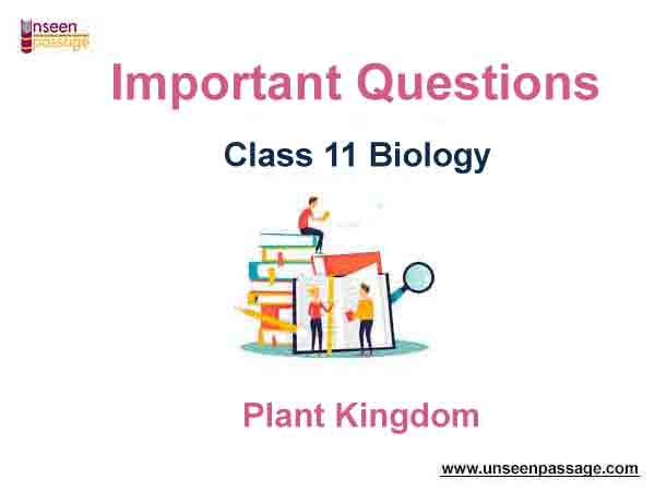 Plant Kingdom Class 11 Biology Important Questions