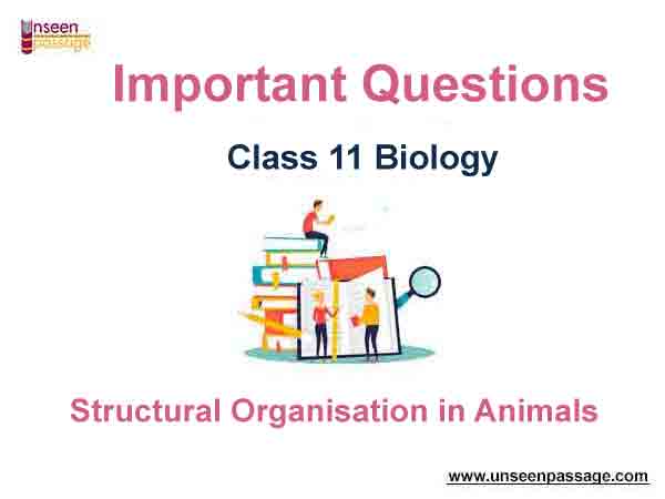 Structural Organisation in Animals Class 11 Biology Important Questions