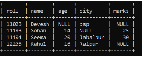 Class 12 Informatics Practices Sample Paper