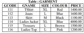 Class 12 Informatics Practices Sample Paper