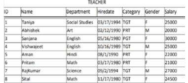 Class 12 Informatics Practices Sample Paper