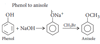 Alcohols Phenols and Ethers Class 12 Chemistry Important Questions
