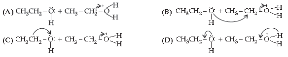 Class 12 Chemistry Sample Paper