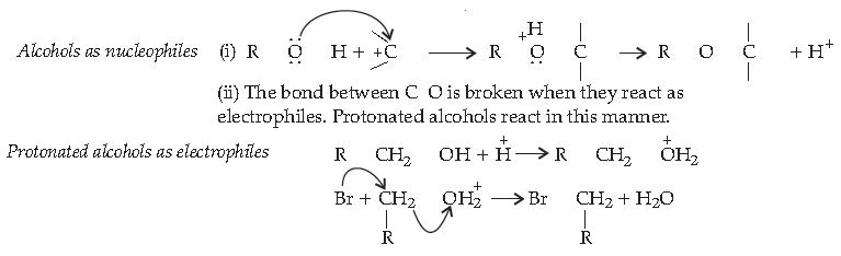 Class 12 Chemistry Sample Paper