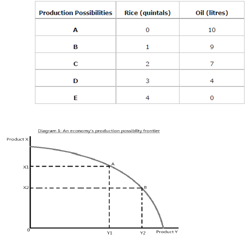 Introduction to Micro Economics Class 12 Economics Important Questions