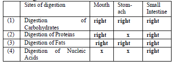 Digestion and Absorption MCQ Class 11 Biology