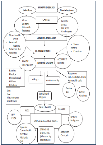 Human Health and Diseases Notes for Class 12 Biology